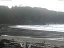 ./images/calvert/beach/20170220/beach20170220_122002.jpg