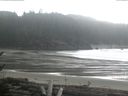 ./images/calvert/beach/20170220/beach20170220_140003.jpg