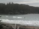 ./images/calvert/beach/20170225/beach20170225_111002.jpg