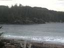 ./images/calvert/beach/20170225/beach20170225_112002.jpg