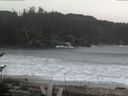 ./images/calvert/beach/20170225/beach20170225_123003.jpg