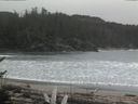 ./images/calvert/beach/20170225/beach20170225_132503.jpg