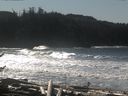 ./images/calvert/beach/20170226/beach20170226_122502.jpg