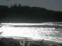 ./images/calvert/beach/20170226/beach20170226_131501.jpg