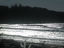 ./images/calvert/beach/20170226/beach20170226_132501.jpg