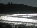 ./images/calvert/beach/20170226/beach20170226_133501.jpg