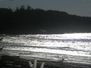 ./images/calvert/beach/20170226/beach20170226_134503.jpg