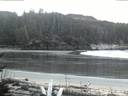 ./images/calvert/beach/20170227/beach20170227_070503.jpg