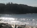 ./images/calvert/beach/20170227/beach20170227_122502.jpg
