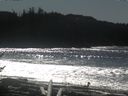 ./images/calvert/beach/20170227/beach20170227_130502.jpg