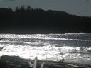 ./images/calvert/beach/20170227/beach20170227_131001.jpg