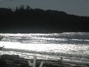 ./images/calvert/beach/20170227/beach20170227_131502.jpg