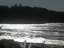 ./images/calvert/beach/20170227/beach20170227_132002.jpg