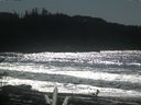 ./images/calvert/beach/20170227/beach20170227_132502.jpg
