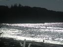 ./images/calvert/beach/20170227/beach20170227_133003.jpg