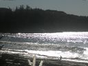 ./images/calvert/beach/20170227/beach20170227_134001.jpg