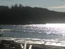 ./images/calvert/beach/20170227/beach20170227_135502.jpg