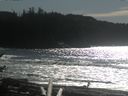 ./images/calvert/beach/20170227/beach20170227_140002.jpg