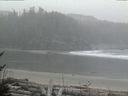 ./images/calvert/beach/20170228/beach20170228_093502.jpg