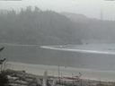 ./images/calvert/beach/20170228/beach20170228_100502.jpg