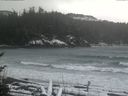 ./images/calvert/beach/20170228/beach20170228_144002.jpg