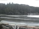 ./images/calvert/beach/20170301/beach20170301_082003.jpg