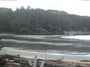 ./images/calvert/beach/20170301/beach20170301_090503.jpg