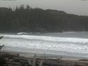 ./images/calvert/beach/20170301/beach20170301_135002.jpg