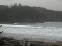 ./images/calvert/beach/20170301/beach20170301_135501.jpg