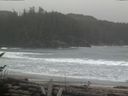 ./images/calvert/beach/20170301/beach20170301_141503.jpg