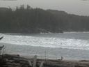 ./images/calvert/beach/20170301/beach20170301_142003.jpg