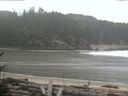 ./images/calvert/beach/20170302/beach20170302_091002.jpg