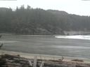 ./images/calvert/beach/20170302/beach20170302_094502.jpg