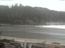 ./images/calvert/beach/20170302/beach20170302_102502.jpg