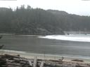 ./images/calvert/beach/20170302/beach20170302_112501.jpg