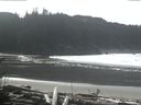 ./images/calvert/beach/20170303/beach20170303_123502.jpg