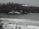 ./images/calvert/beach/20170309/beach20170309_103002.jpg