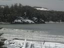 ./images/calvert/beach/20170309/beach20170309_103503.jpg