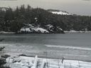 ./images/calvert/beach/20170309/beach20170309_110502.jpg