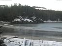 ./images/calvert/beach/20170310/beach20170310_081003.jpg