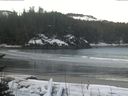 ./images/calvert/beach/20170310/beach20170310_081503.jpg