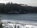 ./images/calvert/beach/20170310/beach20170310_113503.jpg