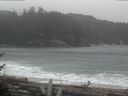 ./images/calvert/beach/20170312/beach20170312_135003.jpg