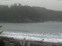 ./images/calvert/beach/20170312/beach20170312_135503.jpg