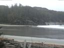 ./images/calvert/beach/20170313/beach20170313_091003.jpg