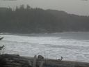 ./images/calvert/beach/20170313/beach20170313_152002.jpg
