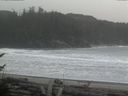 ./images/calvert/beach/20170313/beach20170313_161502.jpg
