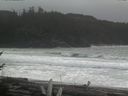 ./images/calvert/beach/20170314/beach20170314_160502.jpg