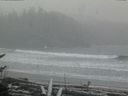 ./images/calvert/beach/20170315/beach20170315_163002.jpg