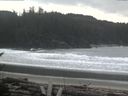 ./images/calvert/beach/20170316/beach20170316_143502.jpg